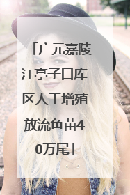广元嘉陵江亭子口库区人工增殖放流鱼苗40万尾